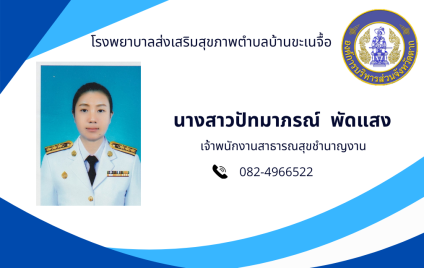 นางสาวปัทมาภรณ์  พัดแสง