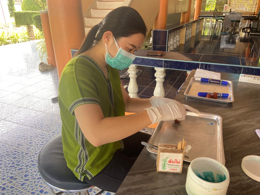 22 พ.ย. 67 นายอดิศร เทียนพานิช ผอ.รพ.สต.บ้านสันป่าไร่ ร่วมกับนายกันตพงศ์ ฉลากมงคล ผู้ช่วยเจ้าหน้าที่สาธารณสุขและน.ส.วาสนา กึกก้องโลกา พยาบาลวิชาชีพปฎิบัติการ ตรวจอุจจาระเพื่อค้นหาไข่พยาธิในโครงการตรวจหาหนอนพยาธิในเด็กนักเรียนโรงเรียนพระราชดำริโรงเรียนบ้าน