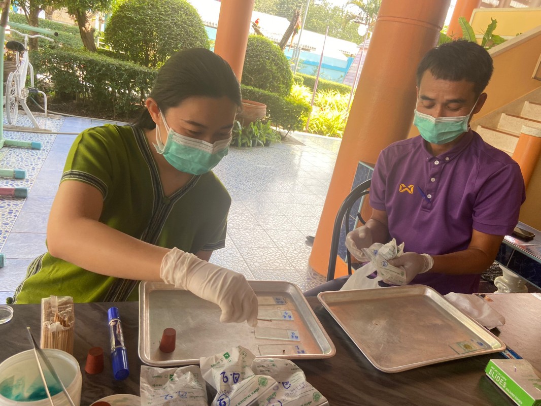 22 พ.ย. 67 นายอดิศร เทียนพานิช ผอ.รพ.สต.บ้านสันป่าไร่ ร่วมกับนายกันตพงศ์ ฉลากมงคล ผู้ช่วยเจ้าหน้าที่สาธารณสุขและน.ส.วาสนา กึกก้องโลกา พยาบาลวิชาชีพปฎิบัติการ ตรวจอุจจาระเพื่อค้นหาไข่พยาธิในโครงการตรวจหาหนอนพยาธิในเด็กนักเรียนโรงเรียนพระราชดำริโรงเรียนบ้าน