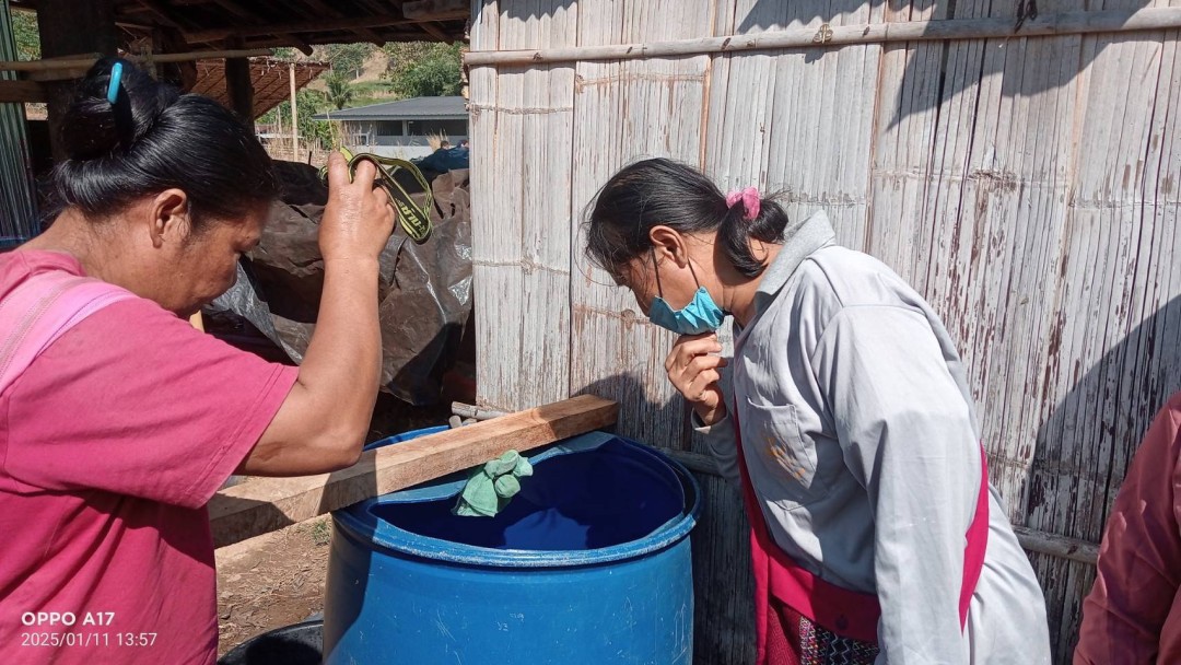 8-9/1/68 รพ.สต.บ้านสันป่าไร่ร่วมกับอาสาสมัครสาธารณสุขหมู่ที่2,3,5,6และ7 สำรวจและทำลายแหล่งเพาะพันธ์ลูกน้ำยุงลาย รอบที่ 1 เดือนมกราคม 2568