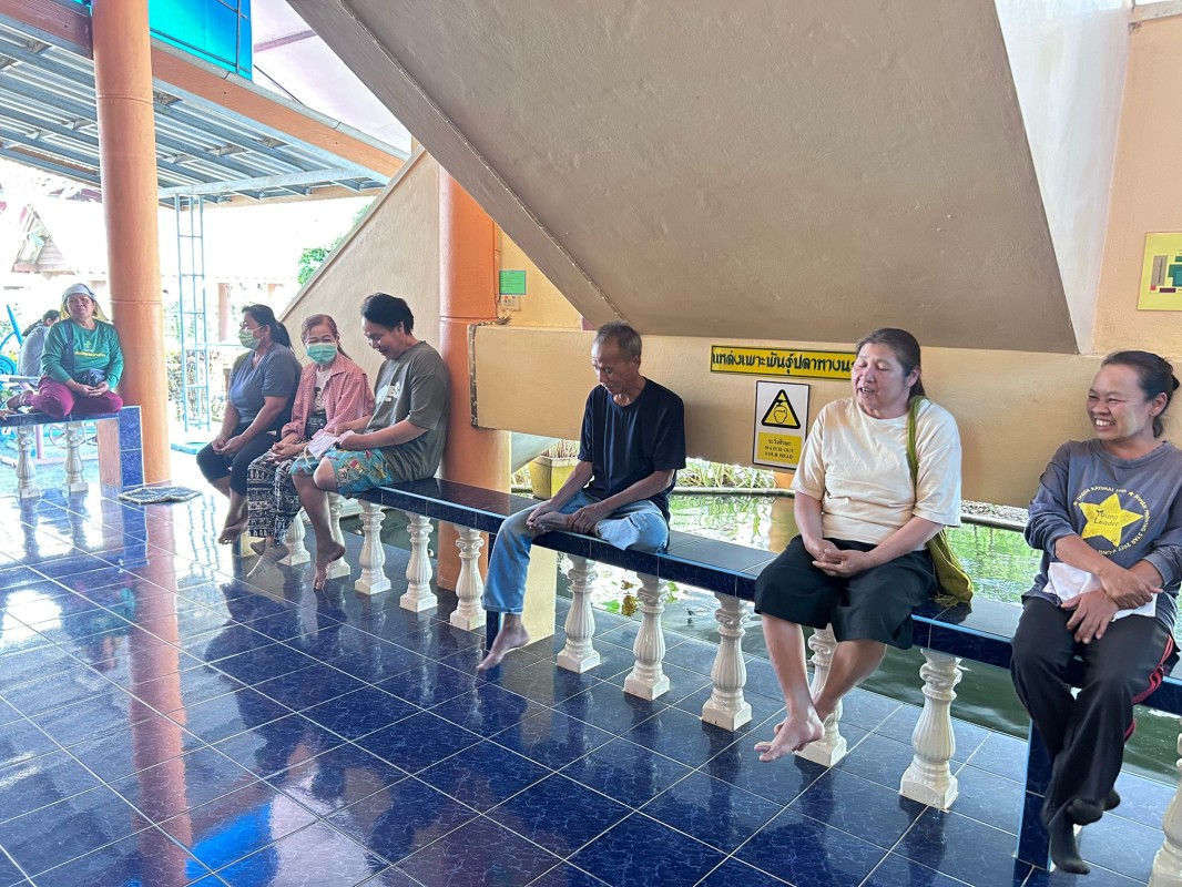 28 ม.ค.68 รพ.สต.บ้านสันป่าไร่ จ่ายยาให้แก่ผู้ป่วยโรคเบาหวาน จำนวน 23 ราย มีกิจกรรมแลกเปลี่ยนเรียนรู้ , ทบทวนความเข้าใจการทานยา และ นับจำนวนยาก่อนผู้ป่วยกลับบ้าน