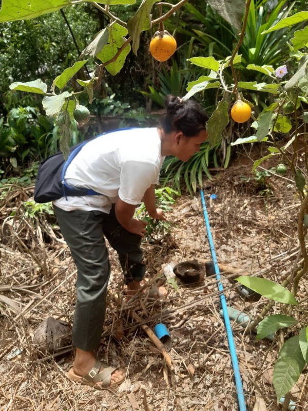 18 เมษายน 2568 รพ.สต.บ้านสันป่าไร่ร่วมกับอาสาสมัครสาธารณสุข หมู่ที่2,3,5,6และ7 รณรงค์สำรวจและทำลายแหล่งเพาะพันธ์ลูกน้ำยุงลาย รอบที่ 2 เดือน เมษายน 2568