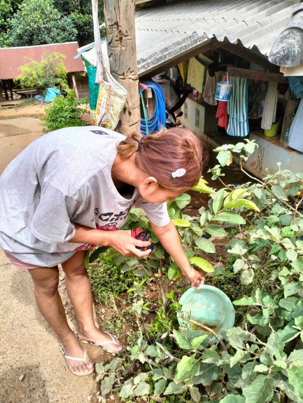 18 เมษายน 2568 รพ.สต.บ้านสันป่าไร่ร่วมกับอาสาสมัครสาธารณสุข หมู่ที่2,3,5,6และ7 รณรงค์สำรวจและทำลายแหล่งเพาะพันธ์ลูกน้ำยุงลาย รอบที่ 2 เดือน เมษายน 2568