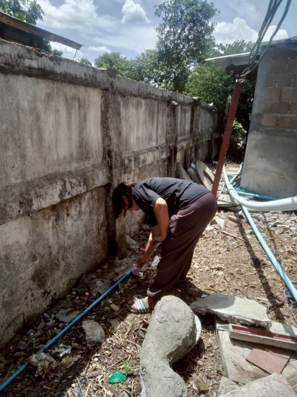 22/5/68 อาสาสมัครสาธารณสุข หมู่ที่ 5 บ้านสันป่าไร่ สำรวจแหล่งเพาะพันธ์ลูกน้ำยุงลายบริเวณงานศพ ณ วัดศรีมงคล จำนวนภาชนะทั้งหมด 36 ชิ้น ไม่พบลูกน้ำยุงลาย