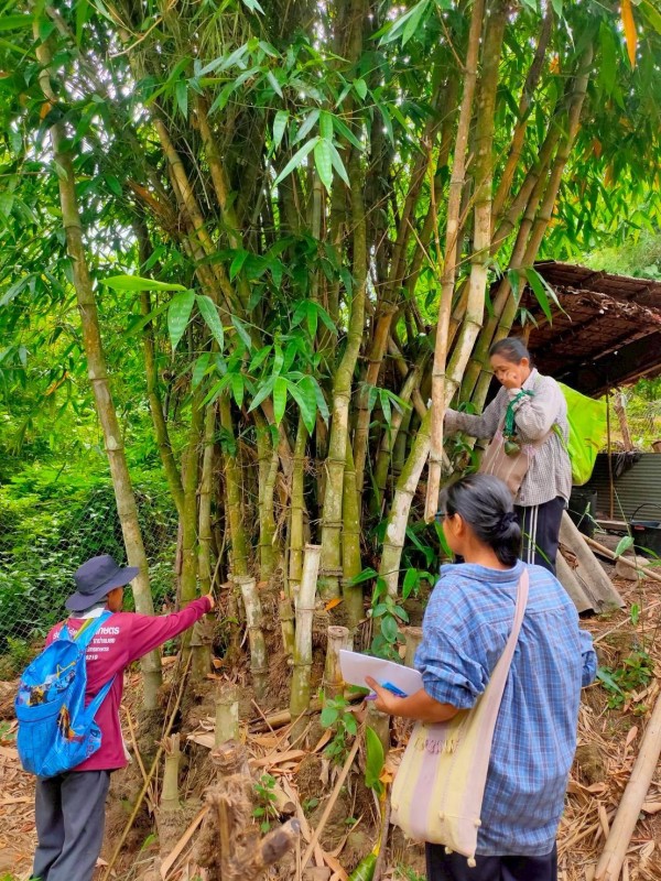 8 มิถุนายน 2568 รพ.สต.บ้านสันป่าไร่ร่วมกับอาสาสมัครสาธารณสุขหมู่ที่2,3,5,6และ7 ผู้นำชุมชน และจิตอาสา รณรงค์สำรวจและทำลายแหล่งเพาะพันธ์ลูกน้ำยุลาย จำนวน 697 หลังคาเรือน ภาชนะทั้งหมด 4460 ชิ้น พบลูกน้ำ 186 ชิ้น ภาชนะที่พบลูกน้ำยุงลายทำลายโดยการเทน้ำทิ้ง