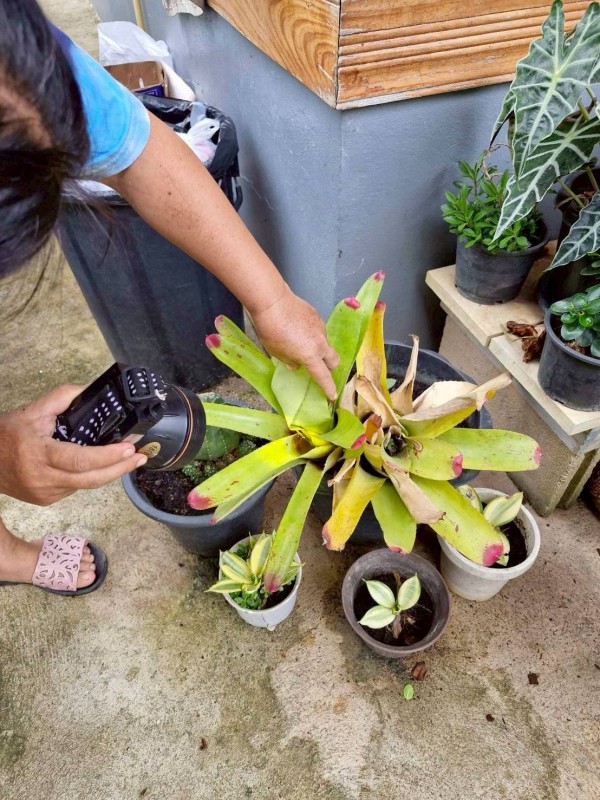 16 มิถุนายน 2568 รพ.สต.บ้านสันป่าไร่ร่วมกับอาสาสมัครสาธารณสุข หมู่ที่ 5 บ้านสันป่าไร่ ออกควบคุมโรคไข้เลือดออกรอบที่2 เคส น.ส.พิชชญา ติ๊บลังกา ตามมาตรการควบคุมโรค 0 3 7 ผลดำเนินงาน พบว่าบ้านผู้ป่วย ภาชนะทั้งหมด 5 ชิ้น ไม่พบลูกน้ำยุงลาย รอบบ้านผู้ป่วยรัศมี 