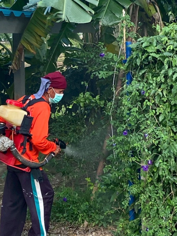 18 มิถุนายน 2568 รพ.สต.บ้านสันป่าไร่ ร่วมกับอาสาสมัครสาธารณสุข หมู่ที่ 5 บ้านสันป่าไร่ ผู้นำชุมชน จิตอาสาแรงงานต่างชาติ และอบต.พระธาตุ รณรงค์ควบคุมโรคไข้เลือดออกโดยการพ่นสารเคมีกำจัดยุงตัวแก่ทั้งหมู่บ้าน บ้านคนไทย จำนวน 231 หลัง บ้านแรงงานต่างชาติ จำนวน 6