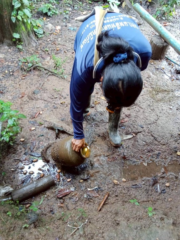 18 มิถุนายน 2568 รพ.สต.บ้านสันป่าไร่ ร่วมกับอาสาสมัครสาธารณสุข หมู่ที่ 2,3,5,6และ7 รณรงค์สำรวจและทำลายแหล่งเพาะพันธ์ลูกน้ำยุงลาย รอบที่ 2 เดือน มิถุนายน 2568