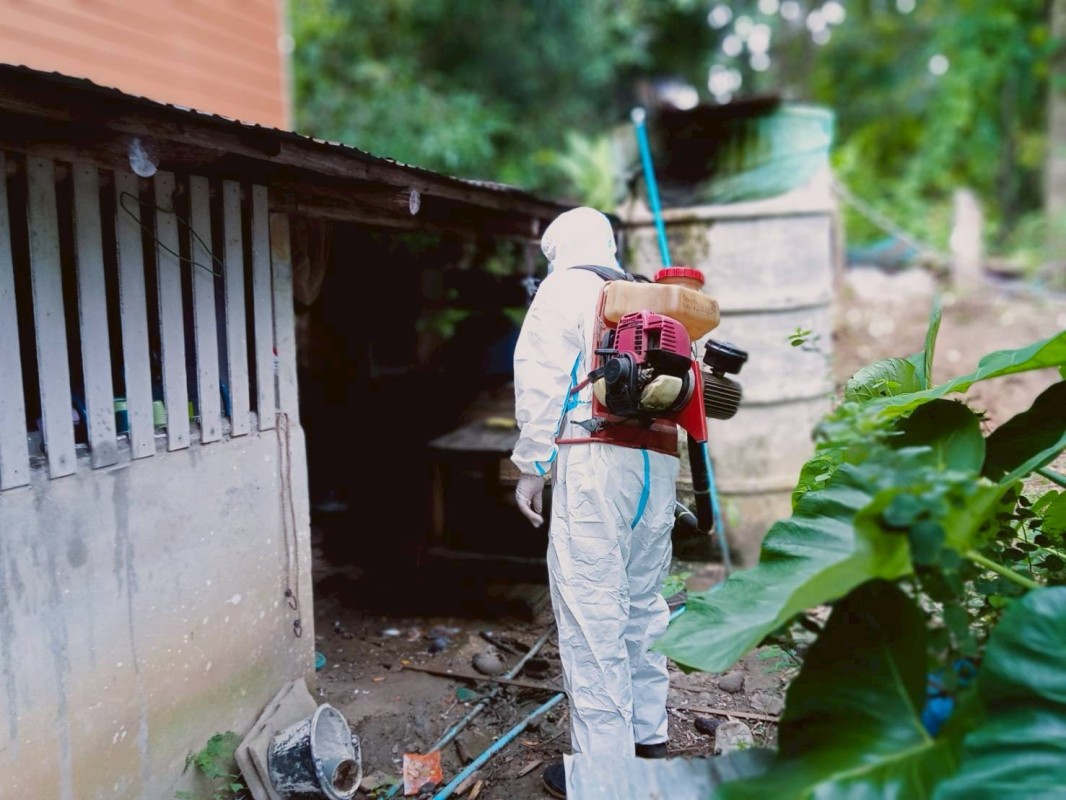 15 สิงหาคม 2568 นางเสาร์แก้ว อ่วมพิทยา เจ้าพนักงานสาธารณสุข รพ.สต.บ้านสันป่าไร่ ร่วมกับ อาสาสมัครสาธารณสุข หมู่ที่ 3 บ้านป่าไร่เหนือ ควบคุมโรคไข้เลือดออก รอบที่ 1 เคสนส.พรนภา วาจาอุทัย สำรวจและทำลายแหล่งเพาะพันธ์ลูกน้ำยุงลาย 200 เมตร รอบบ้านผู้ป่วย จำนวน 