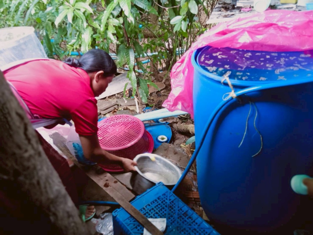 15 สิงหาคม 2568 นางเสาร์แก้ว อ่วมพิทยา เจ้าพนักงานสาธารณสุข รพ.สต.บ้านสันป่าไร่ ร่วมกับ อาสาสมัครสาธารณสุข หมู่ที่ 3 บ้านป่าไร่เหนือ ควบคุมโรคไข้เลือดออก รอบที่ 1 เคสนส.พรนภา วาจาอุทัย สำรวจและทำลายแหล่งเพาะพันธ์ลูกน้ำยุงลาย 200 เมตร รอบบ้านผู้ป่วย จำนวน 