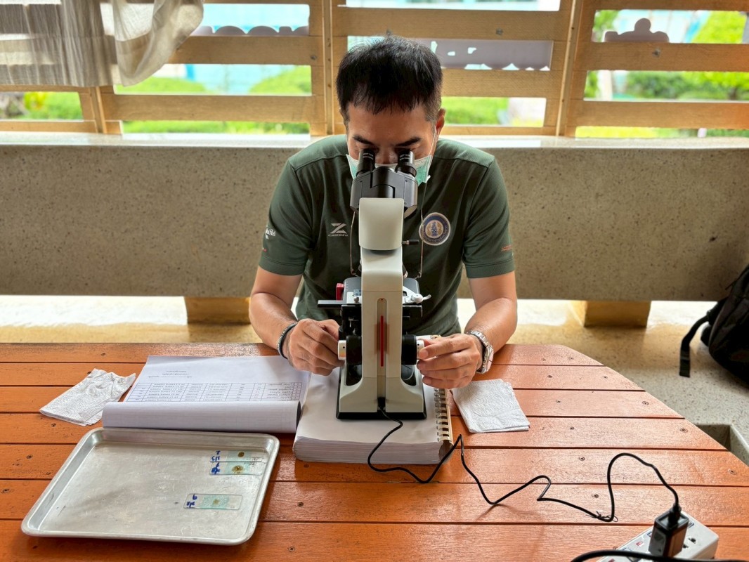 26-27 สิงหาคม 2568 นายอดิศร เทียนพานิช ผอ.รพ.สต.บ้านสันป่าไร่ น.ส.วาสนา กึกก้องโลกา พยาบาลวิชาชีพปฏิบัติการและนางเสาร์แก้ว อ่วมพิทยา เจ้าพนักงานสาธารณสุข รพ.สต.บ้านสันป่าไร่ ตรวจอุจจาระเพื่อตรวจหาไข่พยาธิ ในเด็กนักเรียนในพื้นที่โครงการพระราชดำริ สมเด็จพระ