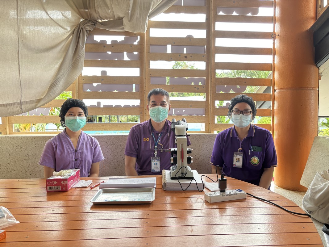 26-27 สิงหาคม 2568 นายอดิศร เทียนพานิช ผอ.รพ.สต.บ้านสันป่าไร่ น.ส.วาสนา กึกก้องโลกา พยาบาลวิชาชีพปฏิบัติการและนางเสาร์แก้ว อ่วมพิทยา เจ้าพนักงานสาธารณสุข รพ.สต.บ้านสันป่าไร่ ตรวจอุจจาระเพื่อตรวจหาไข่พยาธิ ในเด็กนักเรียนในพื้นที่โครงการพระราชดำริ สมเด็จพระ