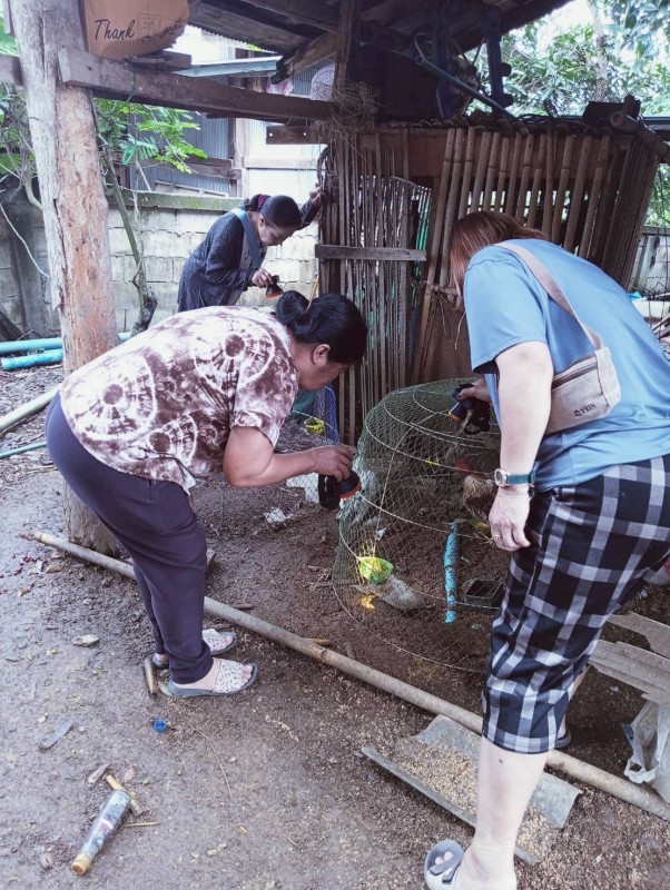 9 กันยายน 2568 นางอัจฉรา ทวีเกื้อกูลกิจ นายกองค์การบริหารส่วนจังหวัดตาก มอบหมายให้ รพ.สต.บ้านสันป่าไร่ ร่วมกับ อาสาสมัครสาธารณสุข หมู่ที่ 2,3,5,6และ7 ตำบลพระธาตุ รณรงค์สำรวจและทำลายแหล่งเพาะพันธ์ลูกน้ำยุงลาย รอบที่ 1 เดือน กันยายน 2568