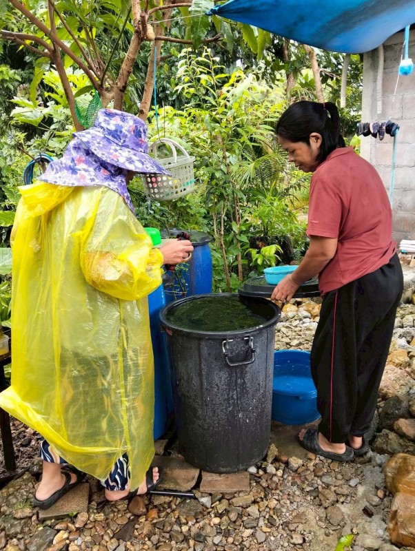 9 กันยายน 2568 นางอัจฉรา ทวีเกื้อกูลกิจ นายกองค์การบริหารส่วนจังหวัดตาก มอบหมายให้ รพ.สต.บ้านสันป่าไร่ ร่วมกับ อาสาสมัครสาธารณสุข หมู่ที่ 2,3,5,6และ7 ตำบลพระธาตุ รณรงค์สำรวจและทำลายแหล่งเพาะพันธ์ลูกน้ำยุงลาย รอบที่ 1 เดือน กันยายน 2568