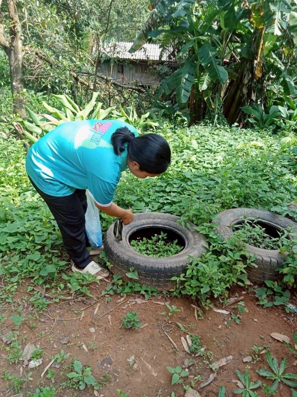 18 กันยายน 2568 นางอัจฉรา ทวีเกื้อกูลกิจ นายกองค์การบริหารส่วนจังหวัดตาก มอบหมายให้ รพ.สต.บ้านสันป่าไร่ ร่วมกับ อาสาสมัครสาธารณสุข หมู่ที่ 2,3,5,6และ7 รณรงค์สำรวจและทำลายแหล่งเพาะพันธ์ลูกน้ำยุงลาย รอบที่ 2 เดือน กันยายน 2568