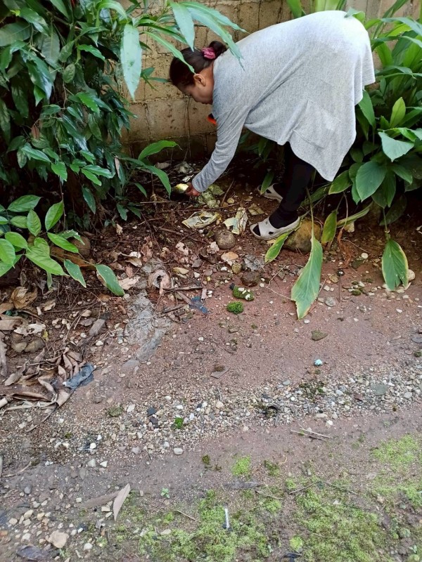 18 กันยายน 2568 นางอัจฉรา ทวีเกื้อกูลกิจ นายกองค์การบริหารส่วนจังหวัดตาก มอบหมายให้ รพ.สต.บ้านสันป่าไร่ ร่วมกับ อาสาสมัครสาธารณสุข หมู่ที่ 2,3,5,6และ7 รณรงค์สำรวจและทำลายแหล่งเพาะพันธ์ลูกน้ำยุงลาย รอบที่ 2 เดือน กันยายน 2568