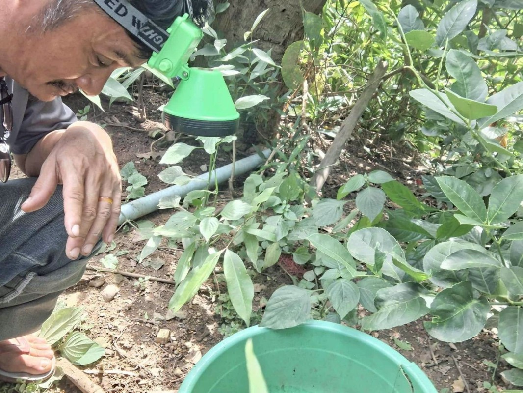 18 กันยายน 2568 นางอัจฉรา ทวีเกื้อกูลกิจ นายกองค์การบริหารส่วนจังหวัดตาก มอบหมายให้ รพ.สต.บ้านสันป่าไร่ ร่วมกับ อาสาสมัครสาธารณสุข หมู่ที่ 2,3,5,6และ7 รณรงค์สำรวจและทำลายแหล่งเพาะพันธ์ลูกน้ำยุงลาย รอบที่ 2 เดือน กันยายน 2568