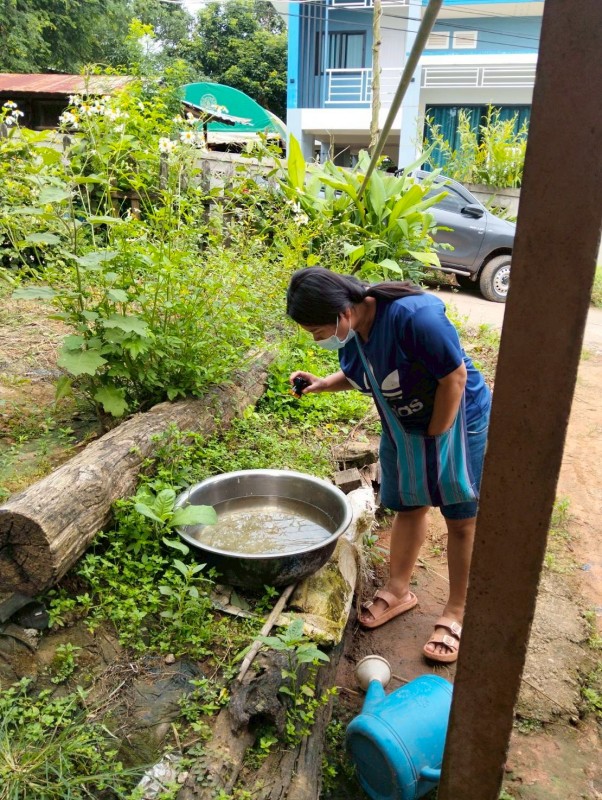 4 ตุลาคม 2568 นางอัจฉรา ทวีเกื้อกูลกิจ นายกองค์การบริหารส่วนจังหวัดตาก มอบหมายให้ รพ.สต.บ้านสันป่าไร่ ร่วมกับอาสาสมัครสาธารณสุขหมู่ที่ 3 บ้านป่าไร่เหนือ สำรวจและทำลายแหล่งเพาะพันธ์ลูกน้ำยุงลาย 100 เมตร รอบบ้านจัดงานเกษียนอายุราชการ จำนวนบ้านทั้งหมด 13 หลั