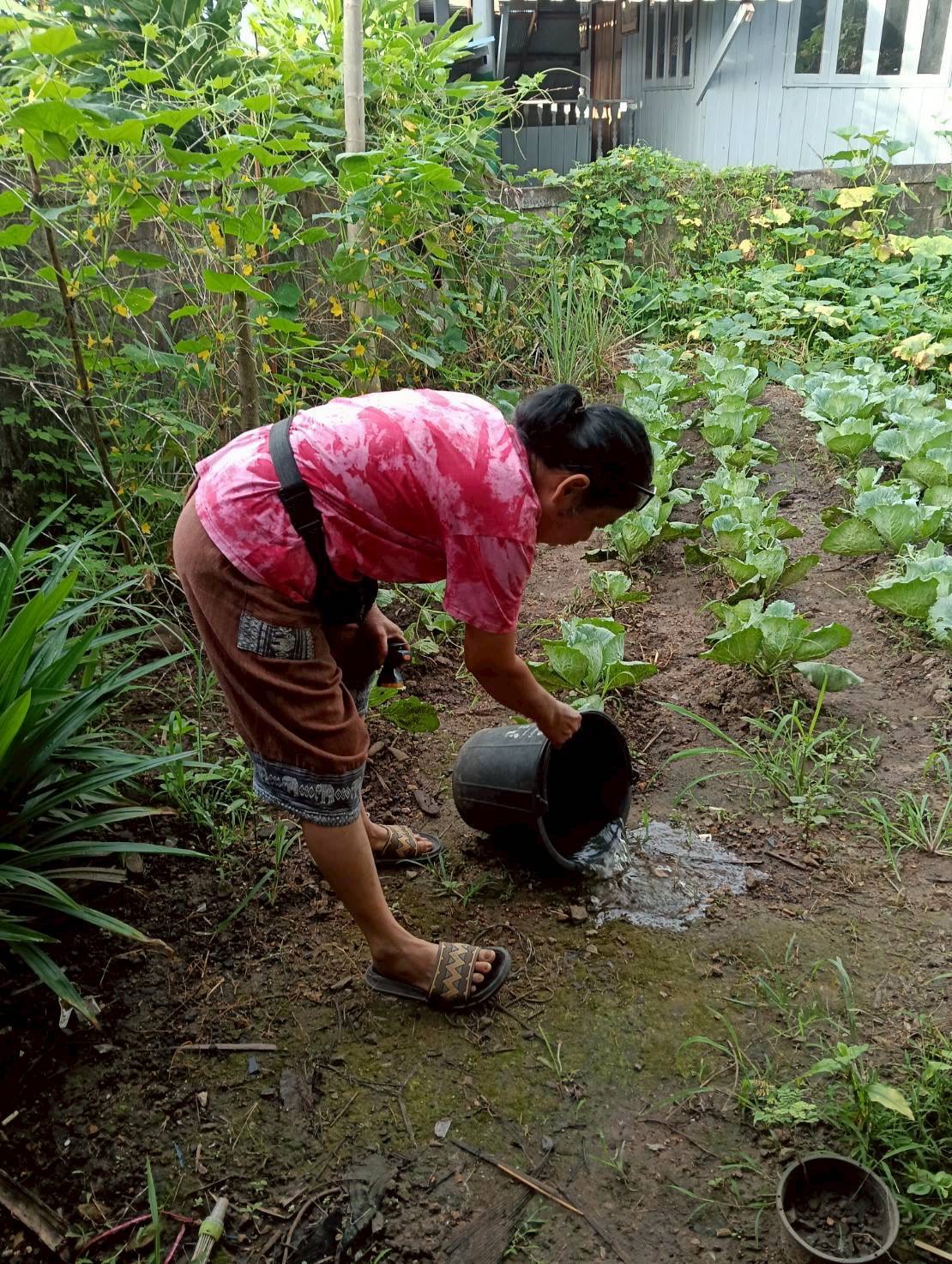 9 ตุลาคม 2568 นางอัจฉรา ทวีเกื้อกูลกิจ นายกองค์การบริหารส่วนจังหวัดตาก มอบหมายให้ รพ.สต.บ้านสันป่าไร่ ร่วมกับอาสาสมัครสาธารณสุขหมู่ที่ 2,3,5,6และ7 รณรงค์สำรวจและทำลายแหล่งเพาะพันธ์ลูกน้ำยุงลาย รอบที่ 1 เดือน ตุลาคม 2568