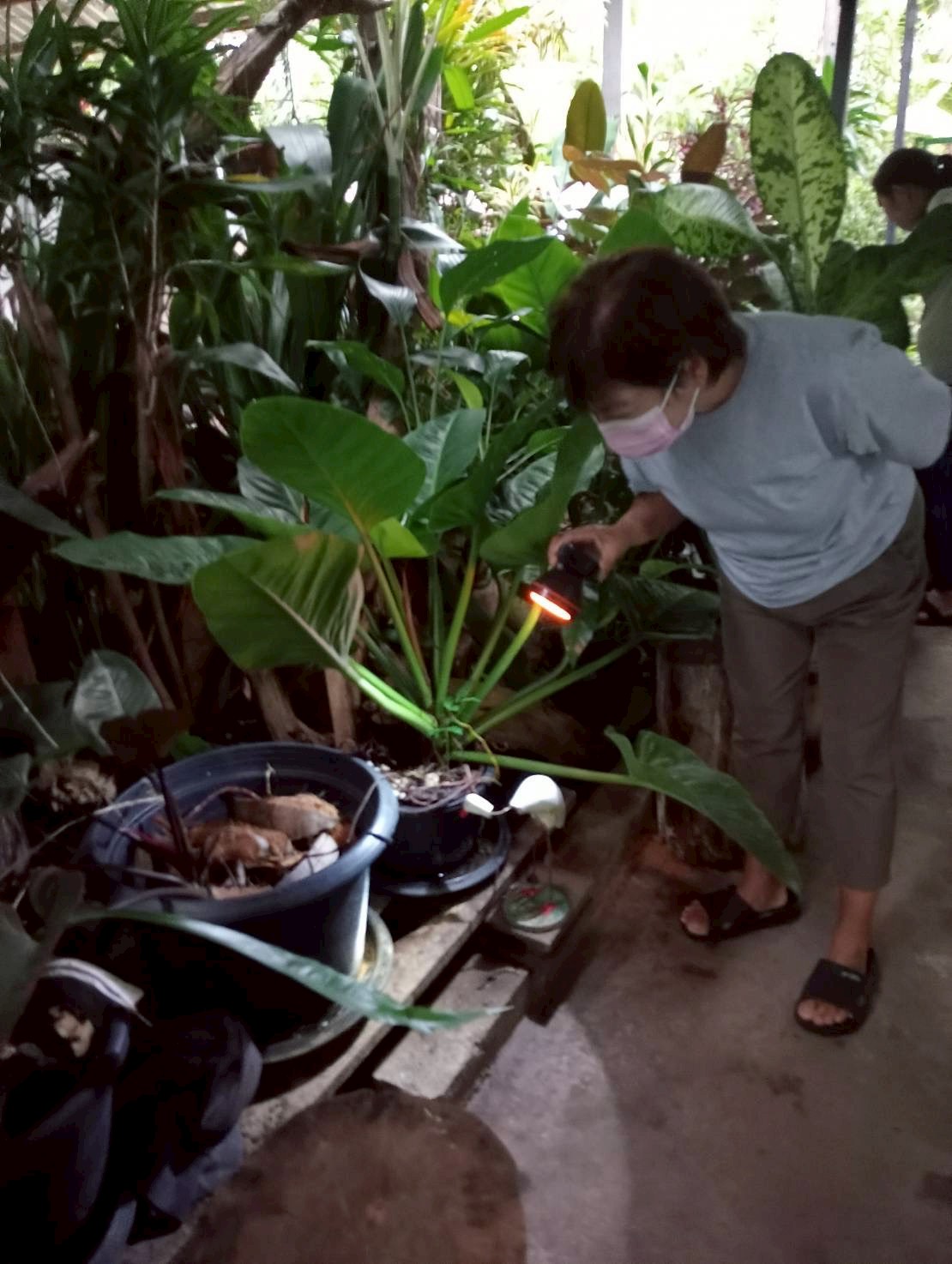 9 ตุลาคม 2568 นางอัจฉรา ทวีเกื้อกูลกิจ นายกองค์การบริหารส่วนจังหวัดตาก มอบหมายให้ รพ.สต.บ้านสันป่าไร่ ร่วมกับอาสาสมัครสาธารณสุขหมู่ที่ 2,3,5,6และ7 รณรงค์สำรวจและทำลายแหล่งเพาะพันธ์ลูกน้ำยุงลาย รอบที่ 1 เดือน ตุลาคม 2568