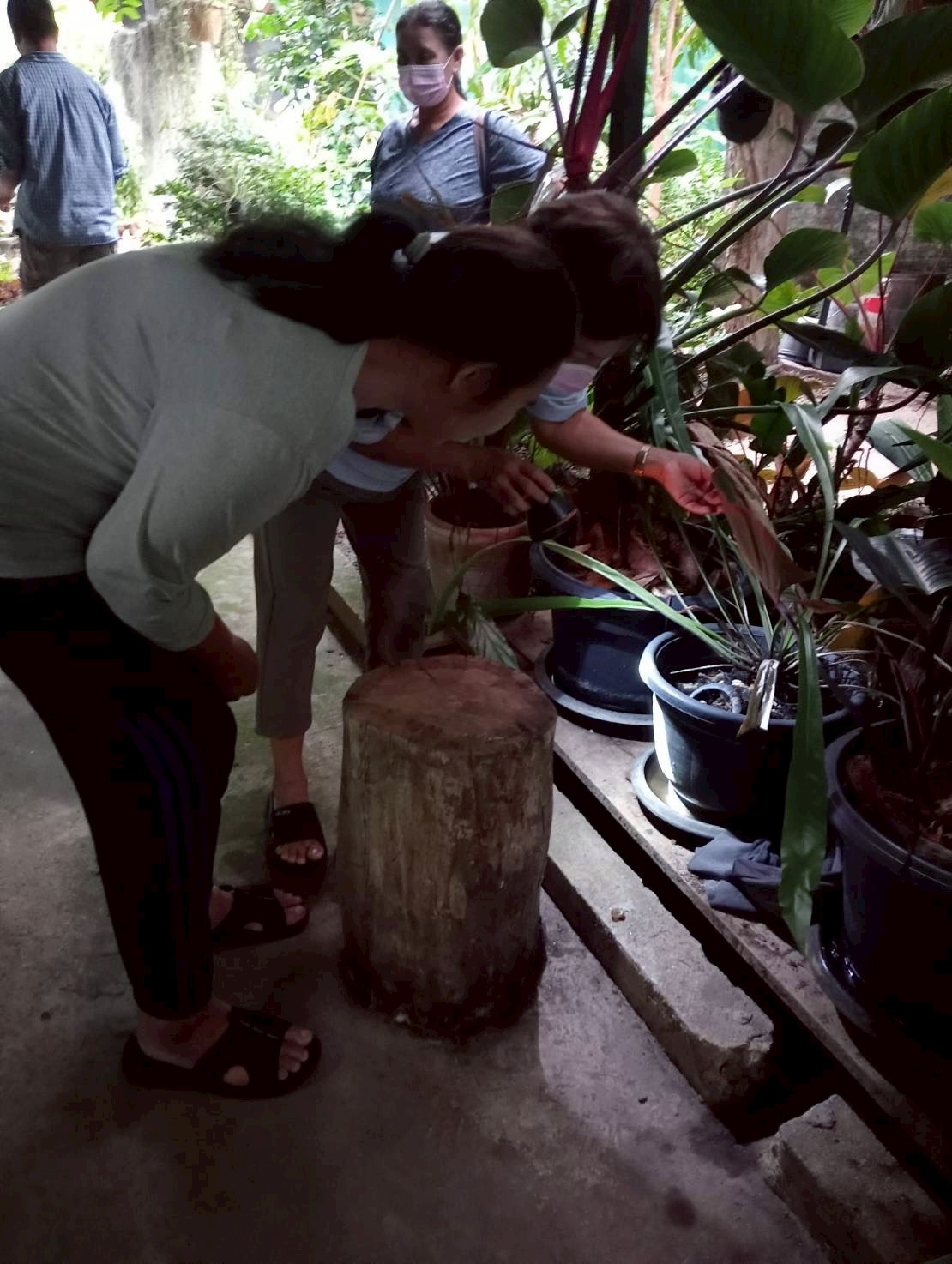 9 ตุลาคม 2568 นางอัจฉรา ทวีเกื้อกูลกิจ นายกองค์การบริหารส่วนจังหวัดตาก มอบหมายให้ รพ.สต.บ้านสันป่าไร่ ร่วมกับอาสาสมัครสาธารณสุขหมู่ที่ 2,3,5,6และ7 รณรงค์สำรวจและทำลายแหล่งเพาะพันธ์ลูกน้ำยุงลาย รอบที่ 1 เดือน ตุลาคม 2568