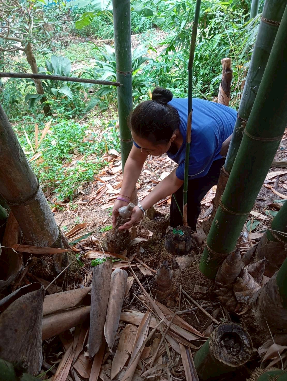 9 ตุลาคม 2568 นางอัจฉรา ทวีเกื้อกูลกิจ นายกองค์การบริหารส่วนจังหวัดตาก มอบหมายให้ รพ.สต.บ้านสันป่าไร่ ร่วมกับอาสาสมัครสาธารณสุขหมู่ที่ 2,3,5,6และ7 รณรงค์สำรวจและทำลายแหล่งเพาะพันธ์ลูกน้ำยุงลาย รอบที่ 1 เดือน ตุลาคม 2568