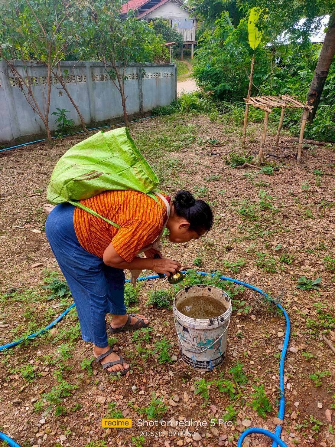 9 ตุลาคม 2568 นางอัจฉรา ทวีเกื้อกูลกิจ นายกองค์การบริหารส่วนจังหวัดตาก มอบหมายให้ รพ.สต.บ้านสันป่าไร่ ร่วมกับอาสาสมัครสาธารณสุขหมู่ที่ 2,3,5,6และ7 รณรงค์สำรวจและทำลายแหล่งเพาะพันธ์ลูกน้ำยุงลาย รอบที่ 1 เดือน ตุลาคม 2568