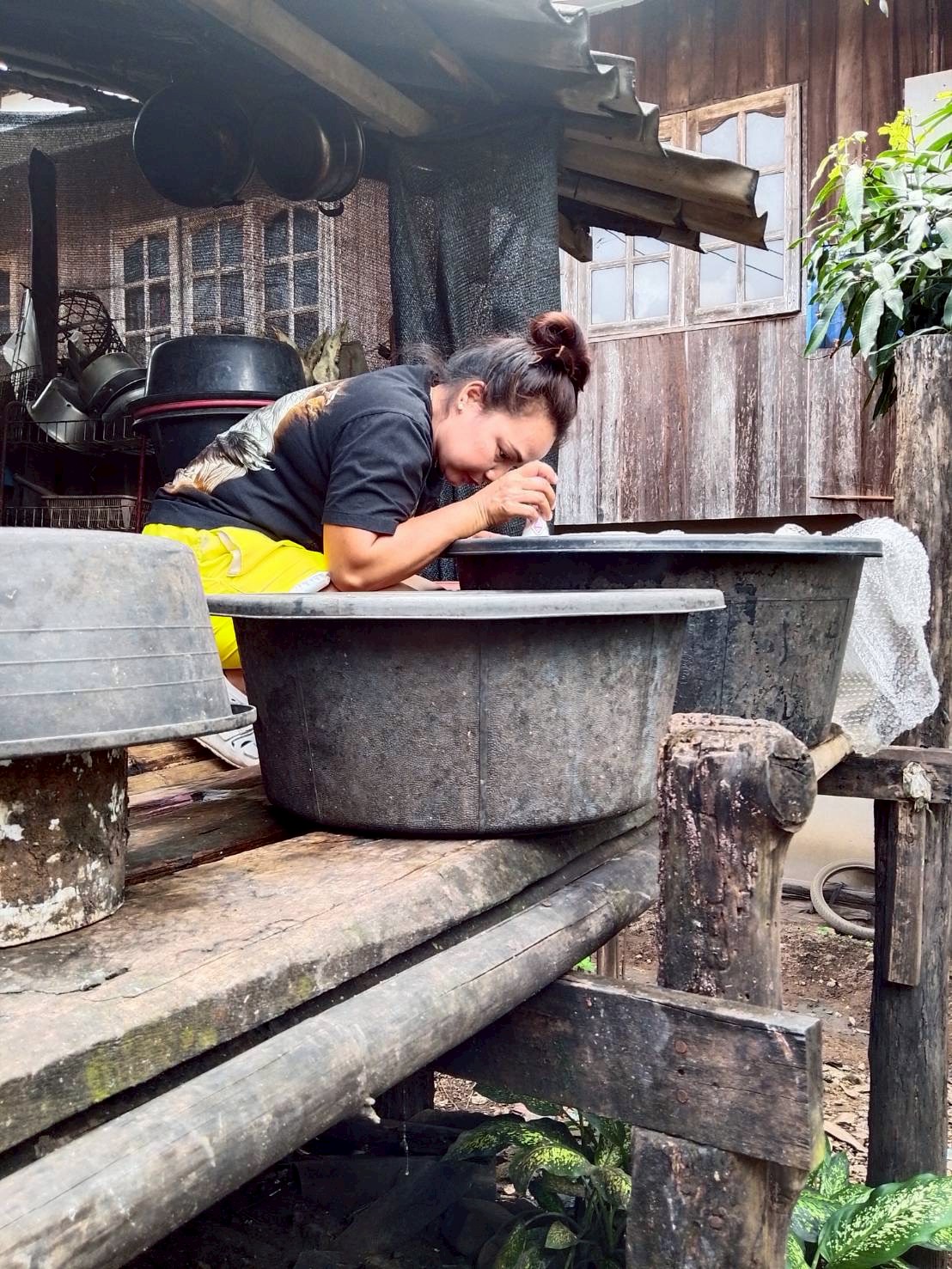 9 ตุลาคม 2568 นางอัจฉรา ทวีเกื้อกูลกิจ นายกองค์การบริหารส่วนจังหวัดตาก มอบหมายให้ รพ.สต.บ้านสันป่าไร่ ร่วมกับอาสาสมัครสาธารณสุขหมู่ที่ 2,3,5,6และ7 รณรงค์สำรวจและทำลายแหล่งเพาะพันธ์ลูกน้ำยุงลาย รอบที่ 1 เดือน ตุลาคม 2568