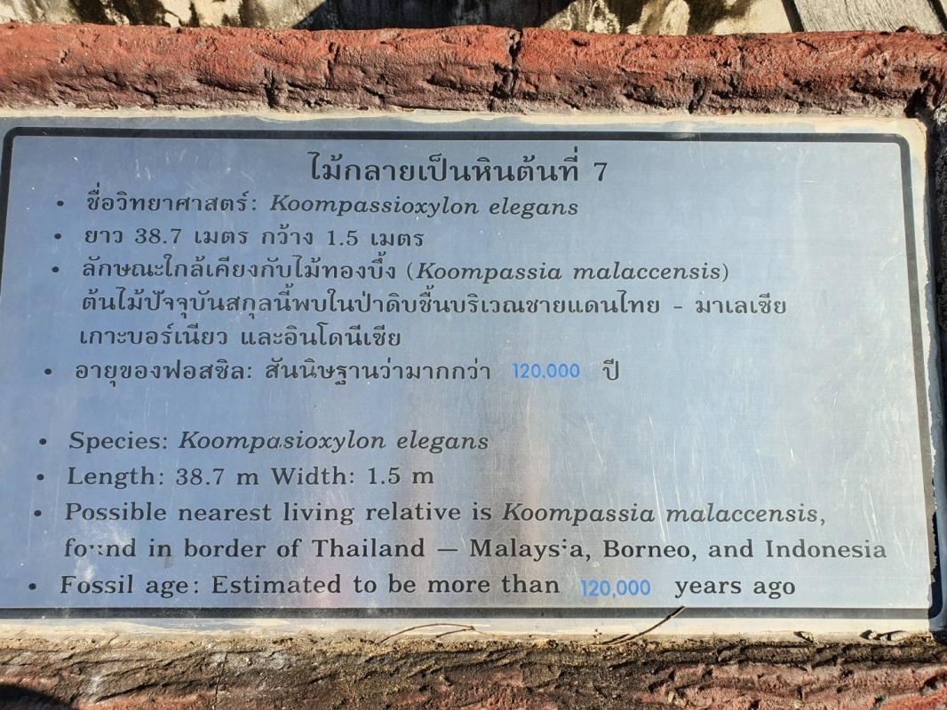 นายกองค์การบริหารส่วนจังหวัดตาก ในฐานะผู้อำนวยการอุทยานธรณีไม้กลายเป็นหินตากลงพื้นที่เพื่อหารือแนวทางการพัฒนาและประชาสัมพันธ์ การท่องเที่ยวเชิงธรณีวิทยา ณ อุทยานแห่งชาติดอยสอยมาลัย - ไม้กลายเป็นหิน จังหวัดตาก
