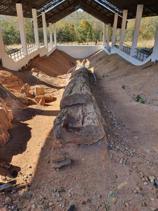 นายกองค์การบริหารส่วนจังหวัดตาก ในฐานะผู้อำนวยการอุทยานธรณีไม้กลายเป็นหินตากลงพื้นที่เพื่อหารือแนวทางการพัฒนาและประชาสัมพันธ์ การท่องเที่ยวเชิงธรณีวิทยา ณ อุทยานแห่งชาติดอยสอยมาลัย - ไม้กลายเป็นหิน จังหวัดตาก