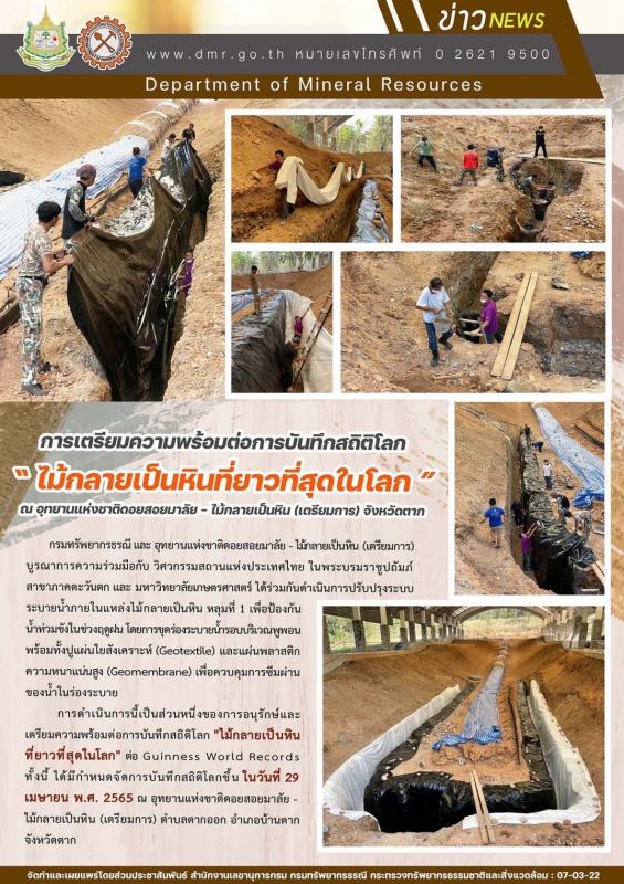 นายณัฐวุฒิ ทวีเกื้อกูลกิจ นายกองค์การบริหารส่วนจังหวัดตาก ในฐานะผู้อำนวยการอุทยานธรณีไม้กลายเป็นหินตากพร้อมด้วย ว่าที่ ดร.ฑีฆะพล ทวีเกื้อกูลกิจ รองนายกองค์การบริหารส่วนจังหวัดตาก นำเจ้าหน้าที่ ร่วมดำเนินการ จัดเรียงหินกรวด ในบริเวณ ไม้กลายเป็นหิน ต้นที่ 1