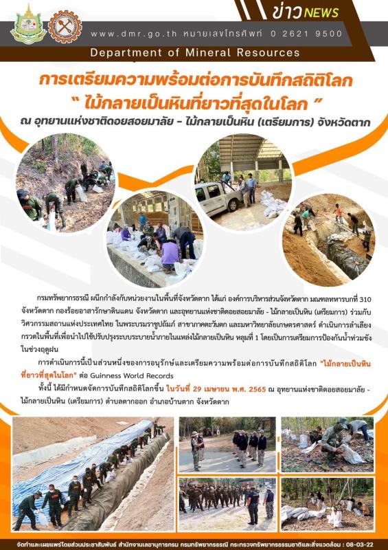 นายณัฐวุฒิ ทวีเกื้อกูลกิจ นายกองค์การบริหารส่วนจังหวัดตาก ในฐานะผู้อำนวยการอุทยานธรณีไม้กลายเป็นหินตากพร้อมด้วย ว่าที่ ดร.ฑีฆะพล ทวีเกื้อกูลกิจ รองนายกองค์การบริหารส่วนจังหวัดตาก นำเจ้าหน้าที่ ร่วมดำเนินการ จัดเรียงหินกรวด ในบริเวณ ไม้กลายเป็นหิน ต้นที่ 1