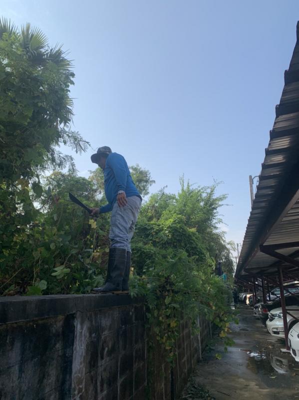 เจ้าหน้าที่กองการศึกษาศาสนาและวัฒนธรรม ดำเนินการตัดแต่งกิ่งไม้ บริเวณรอบรั้วด้านข้างสำนักงานองค์การบริหารส่วนจังหวัดตาก