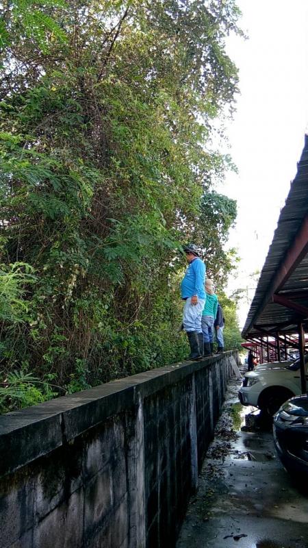 เจ้าหน้าที่กองการศึกษาศาสนาและวัฒนธรรม ดำเนินการตัดแต่งกิ่งไม้ บริเวณรอบรั้วด้านข้างสำนักงานองค์การบริหารส่วนจังหวัดตาก