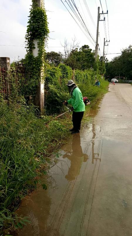 นายกองค์การบริหารส่วนจังหวัดตาก มอบหมายให้ เจ้าหน้าที่กองการศึกษาศาสนาและวัฒนธรรม ดำเนินการตัดหญ้าบริเวณรอบรั้วด้านทิศใต้ 