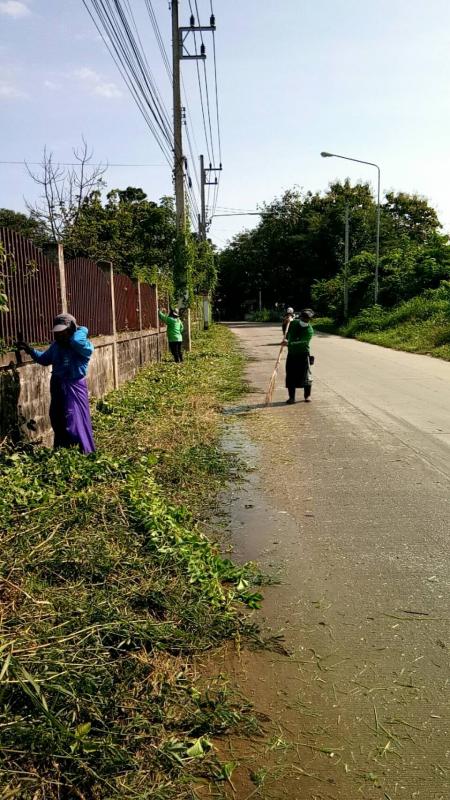 นายกองค์การบริหารส่วนจังหวัดตาก มอบหมายให้ เจ้าหน้าที่กองการศึกษาศาสนาและวัฒนธรรม ดำเนินการตัดหญ้าบริเวณรอบรั้วด้านทิศใต้ 