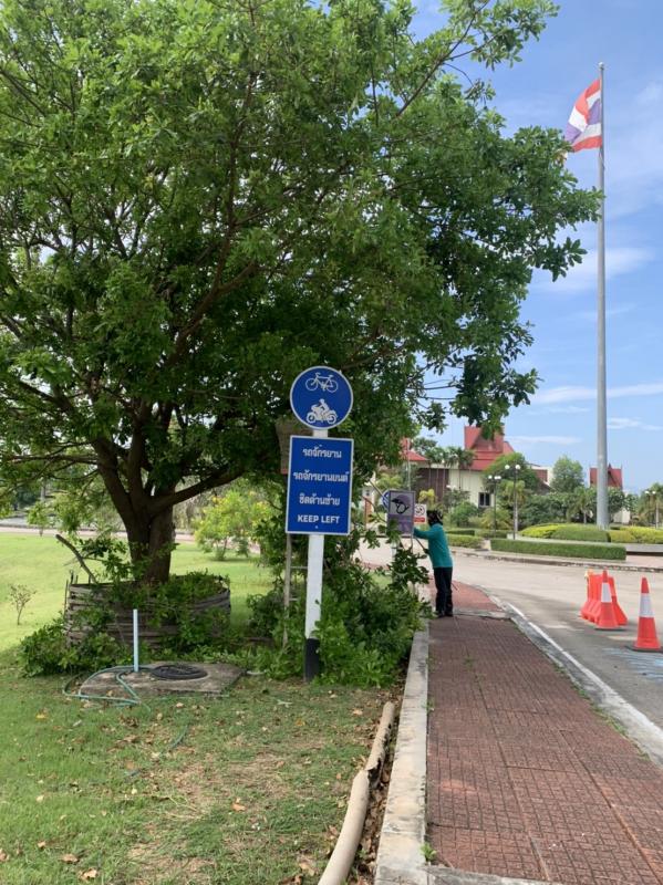 ดำเนินการตัดแต่งกิ่งไม้ บริเวณรอบรั้วด้านข้างสำนักงานองค์การบริหารส่วนจังหวัดตาก พร้อมทั้งปรับปรุงภูมิทัศน์