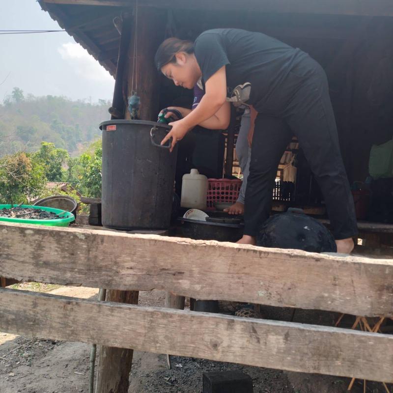 4/5/66 อสม.ม.2 บ้านตีนธาตุและม.3บ้านป่าไร่เหนือสำรวจและทำลายแหล่งเพาะพันธ์ลูกน้ำยุงลาย 100 เมตร รอบบ้านงานศพและงานแต่งงาน