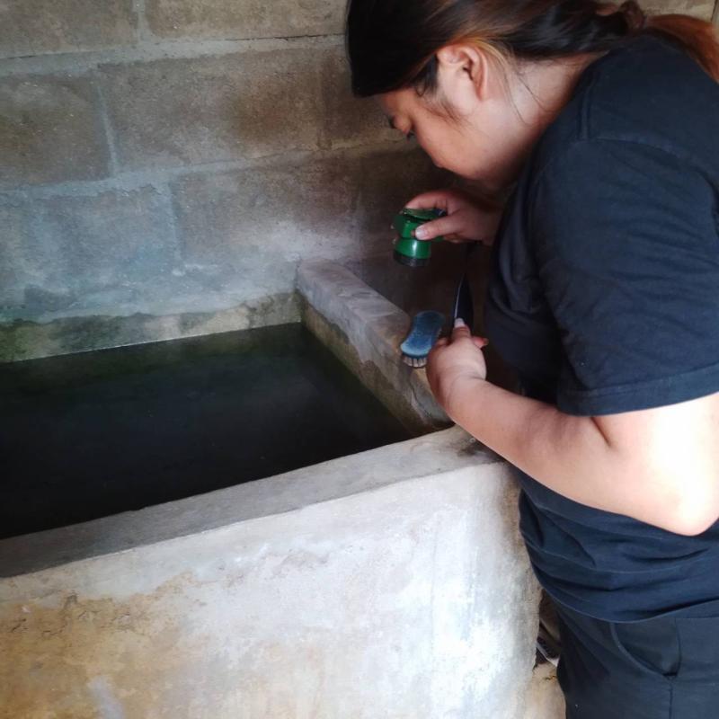 4/5/66 อสม.ม.2 บ้านตีนธาตุและม.3บ้านป่าไร่เหนือสำรวจและทำลายแหล่งเพาะพันธ์ลูกน้ำยุงลาย 100 เมตร รอบบ้านงานศพและงานแต่งงาน