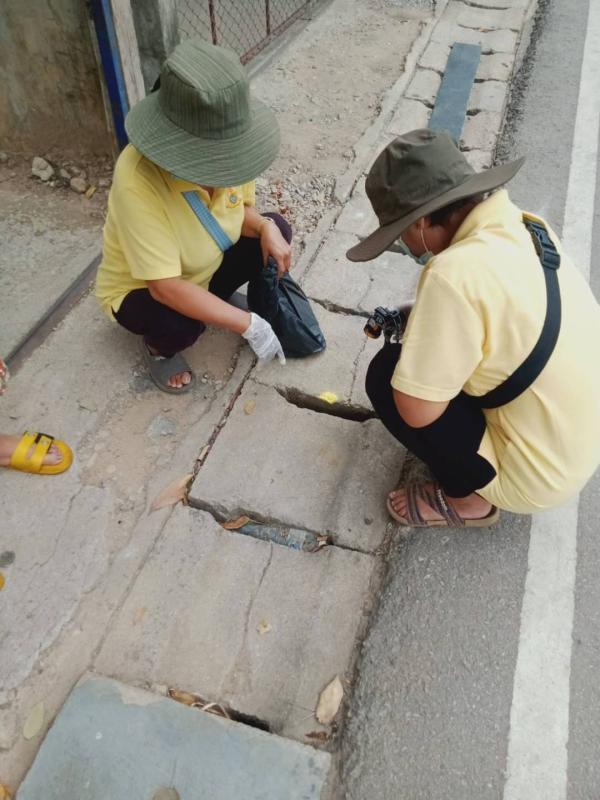 7/5/66 รพ.สต.บ้านสันป่าไร่ร่วมกับอาสาสมัครสาธารณสุขและชาวบ้าน หมู่ที่2 บ้านตีนธาตุ,หมู่ที่ 3 บ้านป่าไร่เหนือและหมู่ที่ 5 บ้านสันป่าไร่ รณรงค์สำรวจและทำลายแหล่งเพาะพันธ์ลูกน้ำยุงลาย