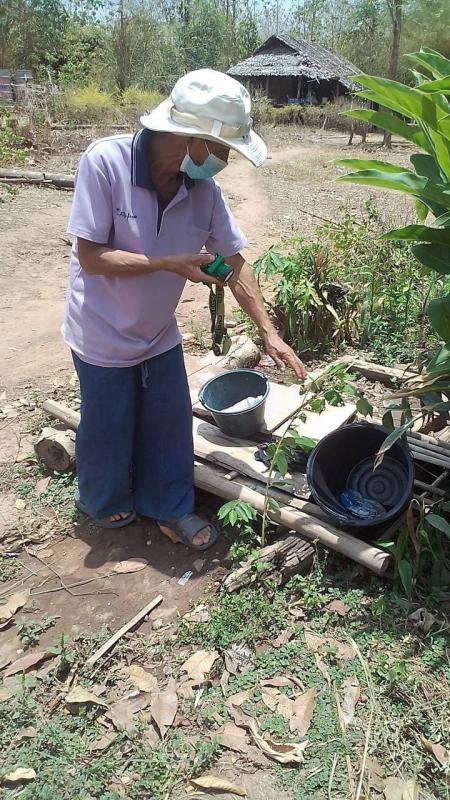 7/5/66 รพ.สต.บ้านสันป่าไร่ร่วมกับอาสาสมัครสาธารณสุขและชาวบ้าน หมู่ที่2 บ้านตีนธาตุ,หมู่ที่ 3 บ้านป่าไร่เหนือและหมู่ที่ 5 บ้านสันป่าไร่ รณรงค์สำรวจและทำลายแหล่งเพาะพันธ์ลูกน้ำยุงลาย