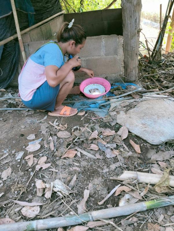 7/5/66 รพ.สต.บ้านสันป่าไร่ร่วมกับอาสาสมัครสาธารณสุขและชาวบ้าน หมู่ที่2 บ้านตีนธาตุ,หมู่ที่ 3 บ้านป่าไร่เหนือและหมู่ที่ 5 บ้านสันป่าไร่ รณรงค์สำรวจและทำลายแหล่งเพาะพันธ์ลูกน้ำยุงลาย