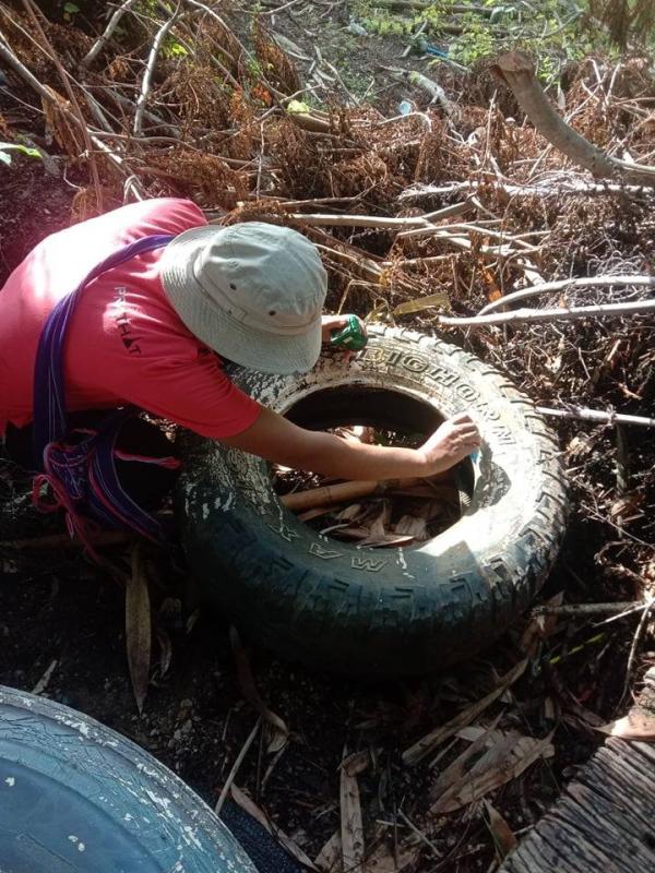 5/6/66 จนท.รพ.สต.บ้านสันป่าไร่ ร่วมกับผู้นำชุมชน ชาวบ้านและอาสาสมัครสาธารณสุขหมู่ที่ 2 บ้านตีนธาตุ หมู่ที่ 3 บ้านป่าไร่เหนือและหมู่ที่ 5 บ้านสันป่าไร่ พัฒนาสิ่งแวดล้อมภายในชุมชนและรณรงค์สำรวจและทำลายแหล่งเพาะพันธ์ลูกน้ำยุงลาย เนื่องในวันสิ่งแวดล้อมโลก
