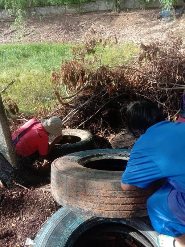 5/6/66 จนท.รพ.สต.บ้านสันป่าไร่ ร่วมกับผู้นำชุมชน ชาวบ้านและอาสาสมัครสาธารณสุขหมู่ที่ 2 บ้านตีนธาตุ หมู่ที่ 3 บ้านป่าไร่เหนือและหมู่ที่ 5 บ้านสันป่าไร่ พัฒนาสิ่งแวดล้อมภายในชุมชนและรณรงค์สำรวจและทำลายแหล่งเพาะพันธ์ลูกน้ำยุงลาย เนื่องในวันสิ่งแวดล้อมโลก