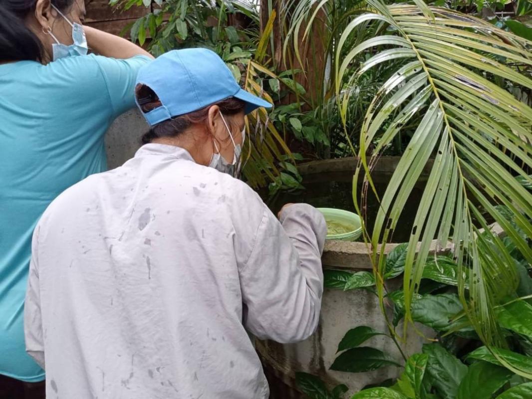 18/6/66 จนท.รพ.สต.บ้านสันป่าไร่ร่วมกับอสม.ม.3บ้านจบปิ ควบคุมโรคไข้เลือดออกรอบ2 เคสดญ.เพ็ญพิชชา ธาราคีรีและรอบแรก ดช.ณัฐคุณ พงษ์ไทย