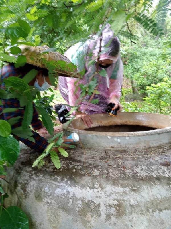 18/6/66 จนท.รพ.สต.บ้านสันป่าไร่ร่วมกับอสม.ม.3บ้านจบปิ ควบคุมโรคไข้เลือดออกรอบ2 เคสดญ.เพ็ญพิชชา ธาราคีรีและรอบแรก ดช.ณัฐคุณ พงษ์ไทย