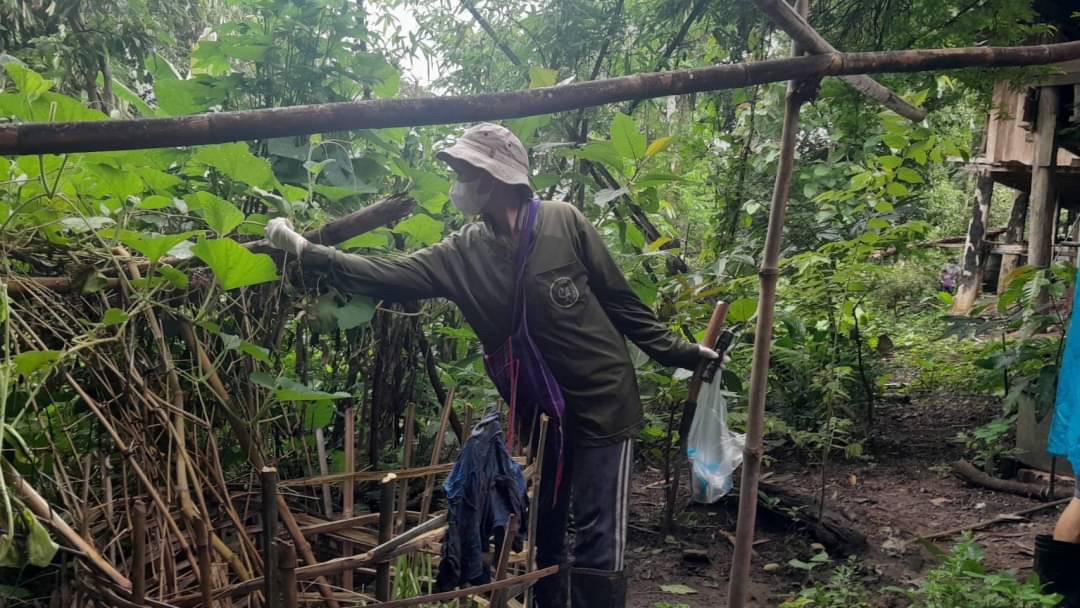 23/6/66 จนท.รพ.สต.บ้านสันป่าไร่ร่วมกับอสม.ม.3บ้านป่าไร่เหนือ ควบคุมโรครอบ2 เคสนางจ้าวา ภูมิพระธาตุ