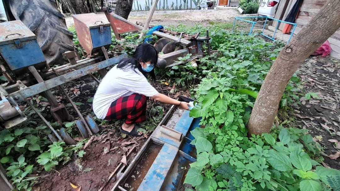 25/6/66 จนท.รพ.สต.บ้านสันป่าไร่ร่วมกับอสม.ม.3 บ้านจบปิ ควบคุมโรคไข้เลือดออก รอบ 2 เคสดช.ณัฐคุณ พงษ์ไทย