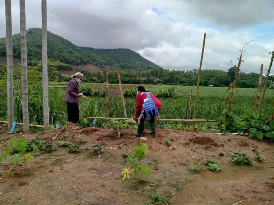 25/6/66 จนท.รพ.สต.บ้านสันป่าไร่ร่วมกับอสม.ม.3 บ้านจบปิ ควบคุมโรคไข้เลือดออก รอบ 2 เคสดช.ณัฐคุณ พงษ์ไทย