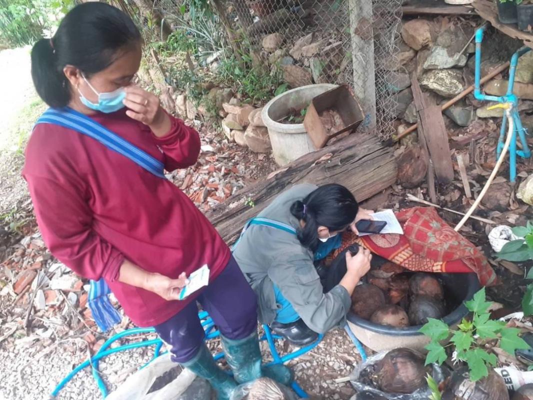 25/6/66 จนท.รพ.สต.บ้านสันป่าไร่ร่วมกับอสม.ม.3 บ้านจบปิ ควบคุมโรคไข้เลือดออก รอบ 2 เคสดช.ณัฐคุณ พงษ์ไทย